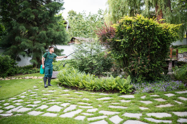Best Exterminator Services  in Sumas, WA