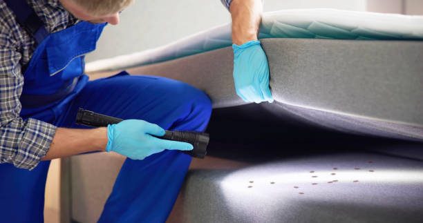 Best Best Pest Control Companies  in Sumas, WA