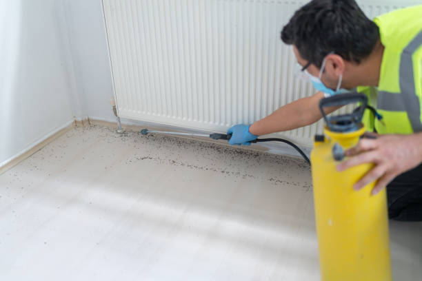 Best Flea Control Services  in Sumas, WA